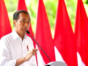 Ternyata Segini Kekayaan Resmi Jokowi, Tembus Nominasi Tokoh Terkorup 2024 versi OCCRP