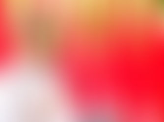 Ternyata Segini Kekayaan Resmi Jokowi, Tembus Nominasi Tokoh Terkorup 2024 versi OCCRP