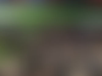 12 Fakta Hasil Temuan Sementara TGIPF dan Koalisi Masyarakat Terkait Tragedi Kanjuruhan