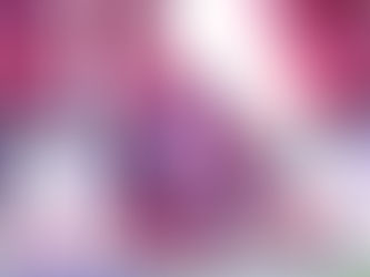 Pimpinan Sidang Kongres Pemuda II 1928 Soegondo Djojopoespito adalah Pemuda asal Tuban Jawa Timur