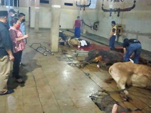 Penyakit Mulut & Kuku pada Hewan Ternak di 4 Daerah jadi Perhatian serius Komisi B DPRD Jatim