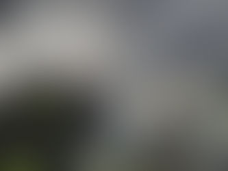 Aksi Polisi Membabi Buta Tembakkan Gas Air Mata di Stadion Kanjuruhan di Kecam Amnesty Internasional