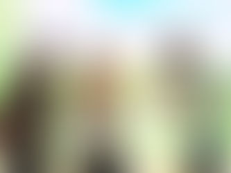 Wakil Ketua DPRD Jatim Terima Penghargaan Green Leadership Nirwasita Tantra dari Menteri KLHK