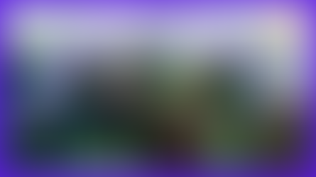 Garden Seeds: Embrace The Light of The Moon