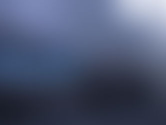 The iPhone