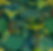 Tropical Collection.jpg