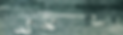 Murals Collection.png