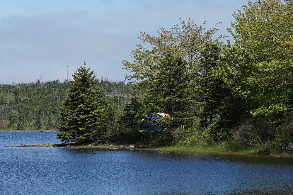 Porter’s Lake Provincial Park, Nova Scotia’s Eastern Shore