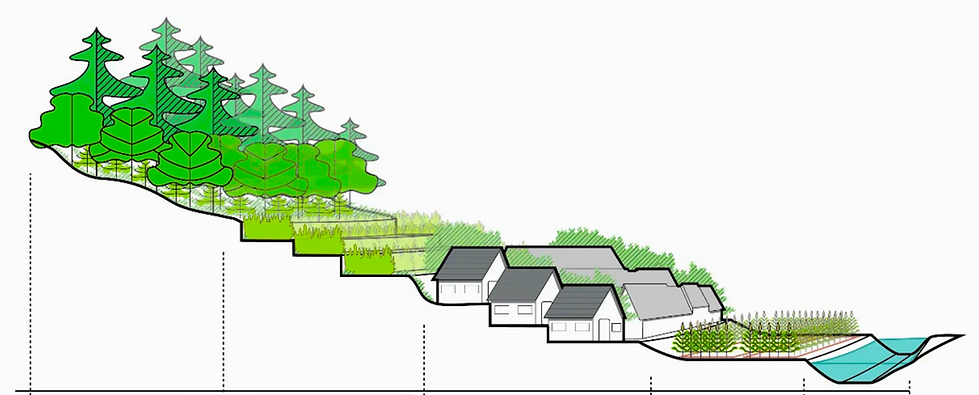 Снимок экрана 2025-11-03 в 8.39.20 PM.png