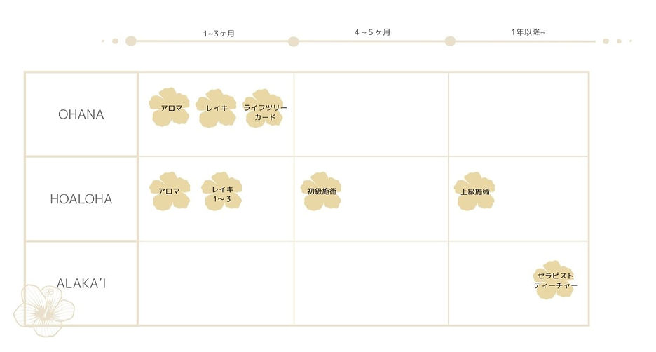 OHANA (4)_edited.jpg