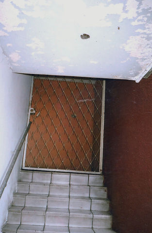 opendoor224.jpg