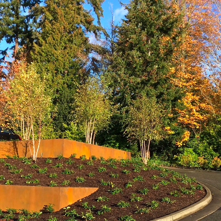 Fall Colors:  It's Not Just the Trees