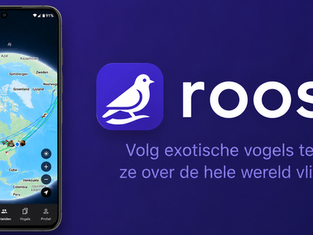 Roost: de sociale media-app waar geduld beloond wordt