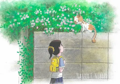 My Illustrations