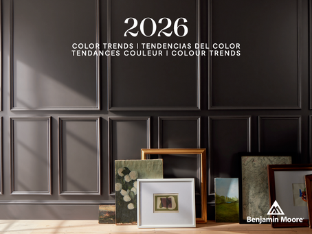 Timeless Winter Colour Palettes for Year-Round Elegance