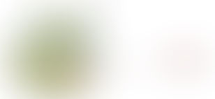 Die Radonkarte - Erklärung und Grenzen