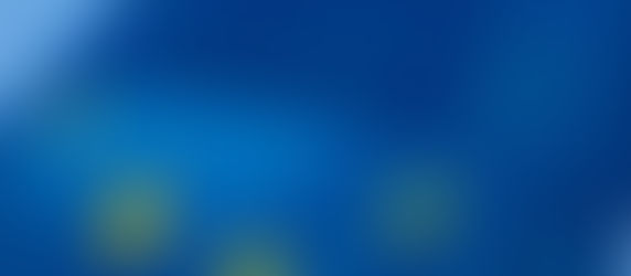 19/20 Nov 2020 | Meetings with the European Institutions 