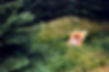 Carter3_edited.jpg