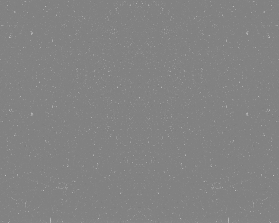 texture.png