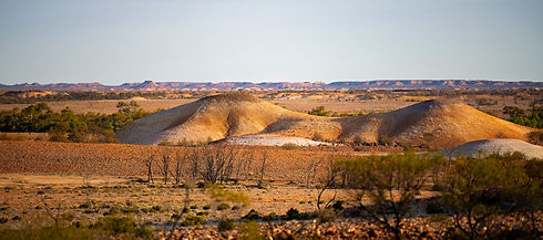 RS38099_Evelyn Downs_58_.jpg