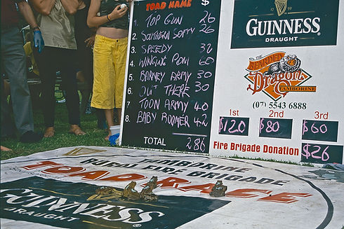 cane-toad-racing-1.jpg
