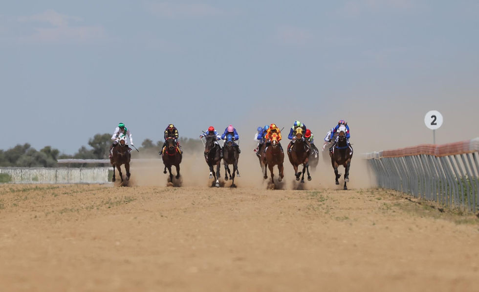 20250805 Birdsville Races Friday-104.jpg