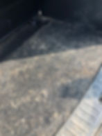 Hundehaare im Auto