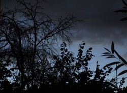 Ciel d'orage