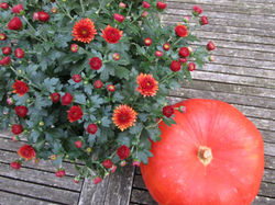 Automne