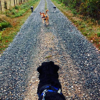 44959215_10218306653716398_4337423537347