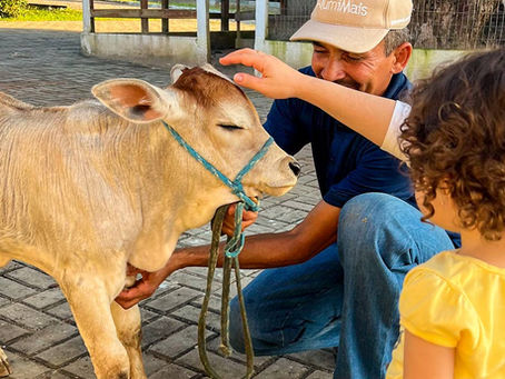 Hospedagem no campo: onde viver o melhor do turismo rural em Pernambuco