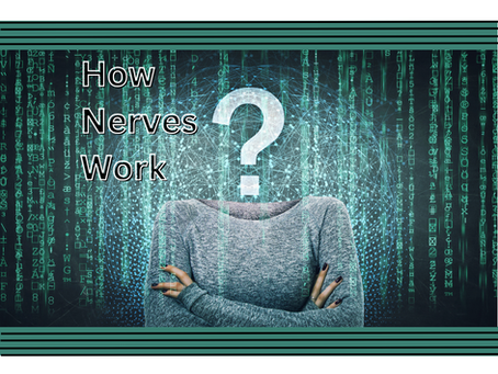 How Nerves Work: Simplifying Complex Neuroscience