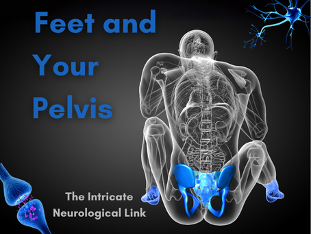 A medical illustration of a man with a transparent outer body form and outlines of his bones. The pelvic bones and bones of the feet are in blue. The caption reads: "Feet and Your Pelvis, The Intricate Neurological Link"