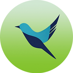 Soar Support Group Logo