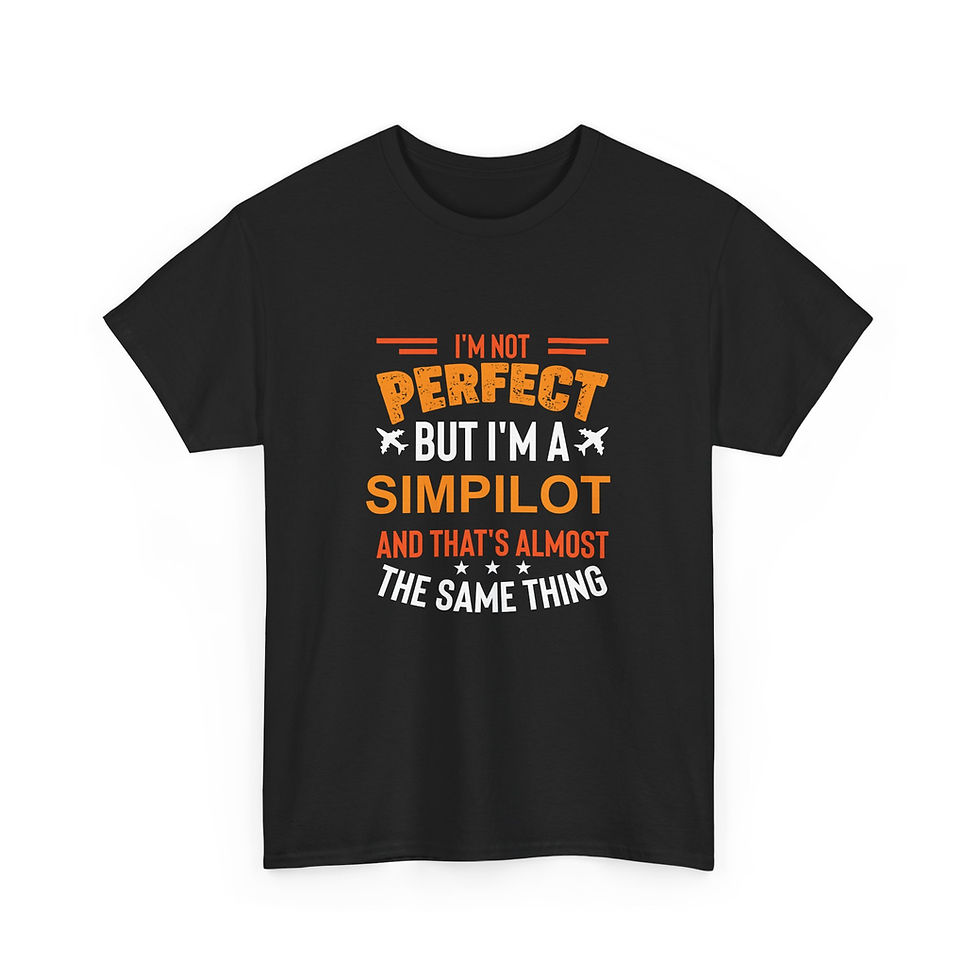 Thumbnail: Black T-Shirt

Reads 
"I'm not perfect, but I am a sim pilot, and that's almost the same thing"