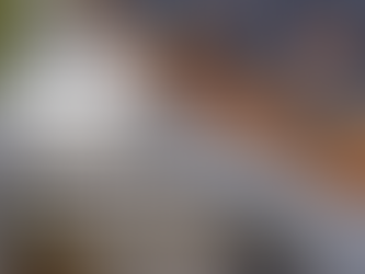 How Often to Clean Gutters in Upstate New York: Tools, Timing, Safety, Cost, and DIY vs. Pro