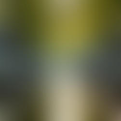 Effective Stress Relief Methods for a Calmer, Happier You