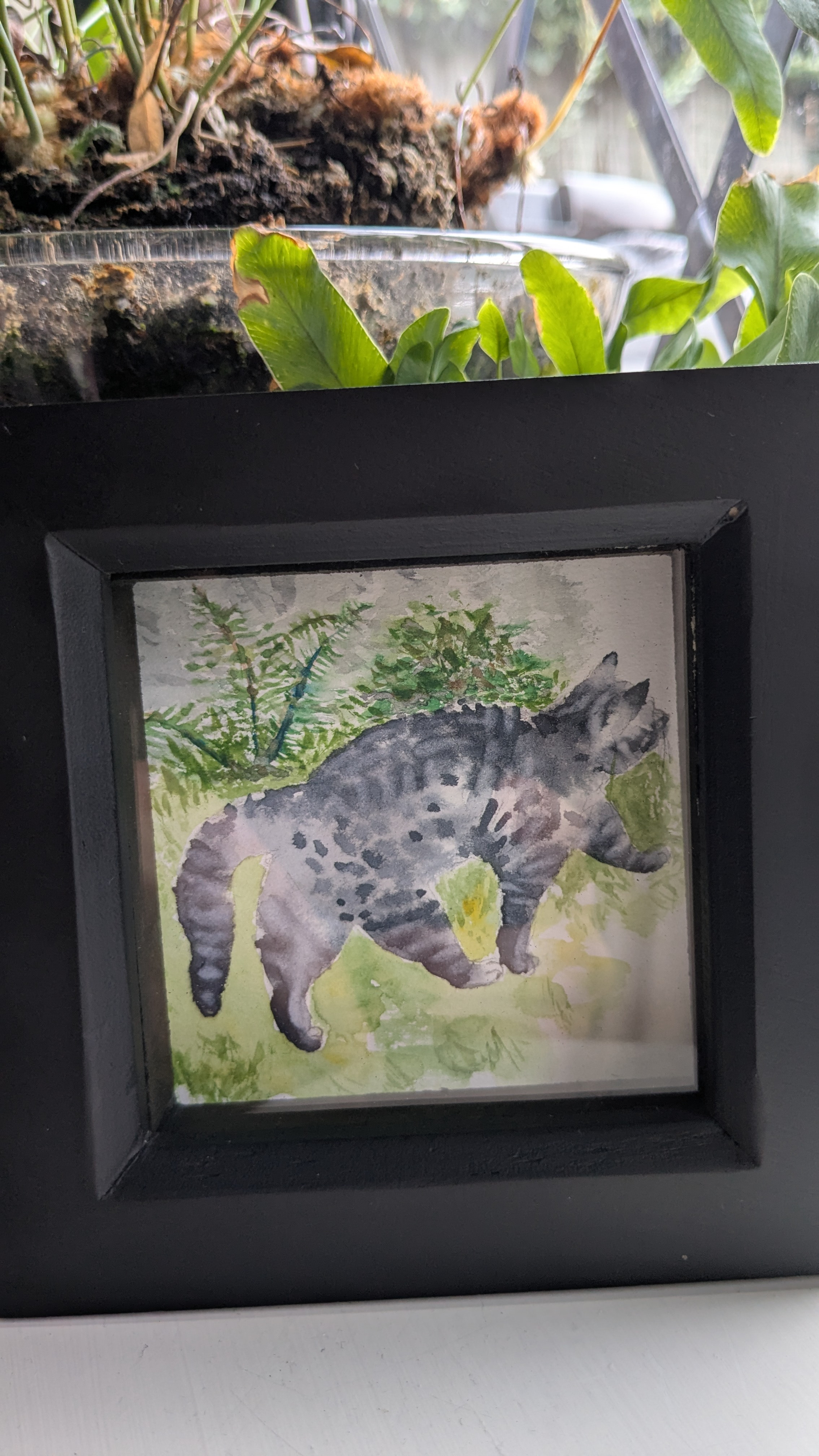 A Confident Cat