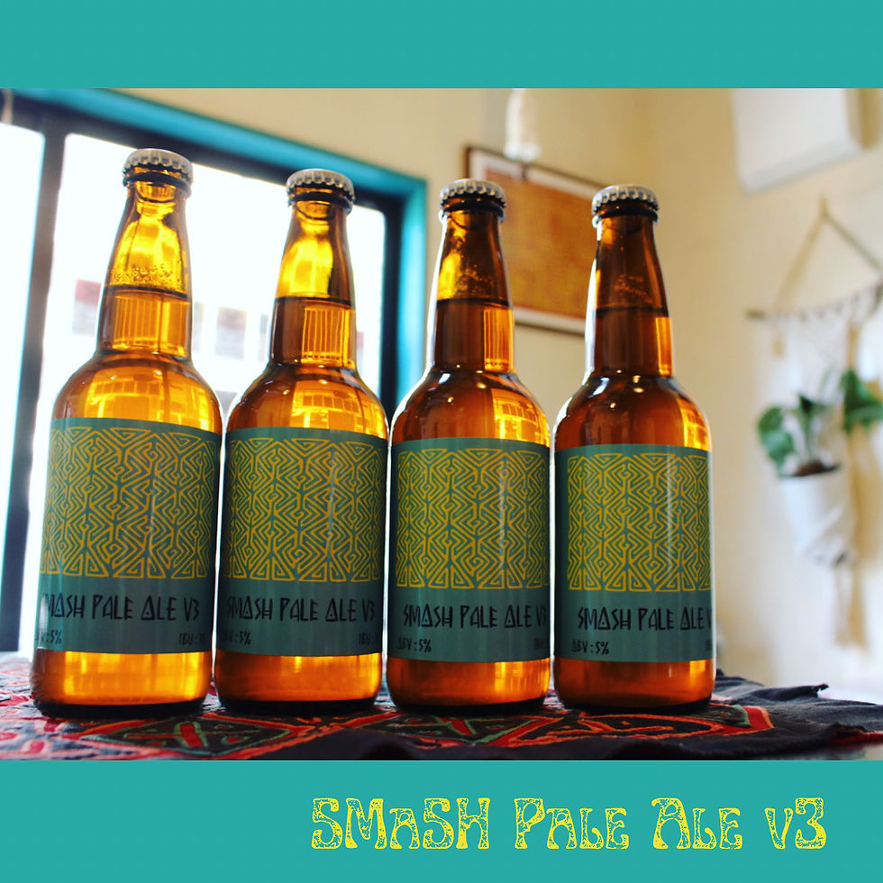 サムネイル： SMaSH Pale Ale V3