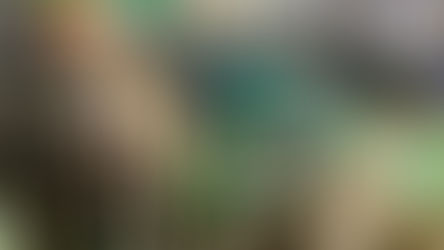 Die Ökologietage 2019 - Ein informatives Fest.