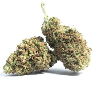 Ice Queen(3.5 grams)