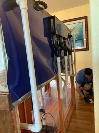 Complete start up for 220 gallon aquarium