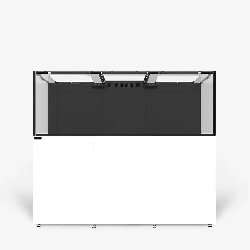 REEF LX 290.6