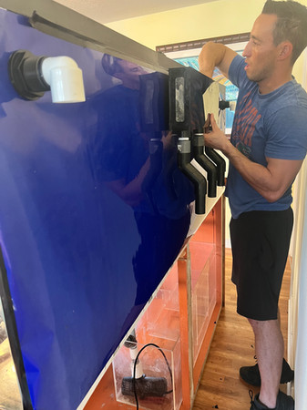 Installation day for new aquarium