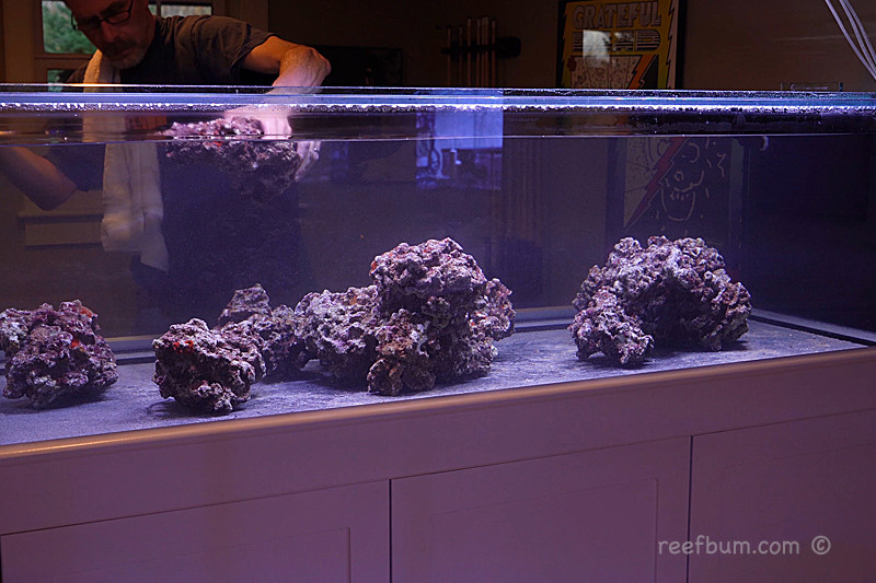 The Complete Guide to Cycling Your Saltwater Aquarium: Tips and Tricks ... - Setting Up A Saltwater Aquarium For Beginners With A Recirculating System