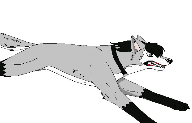 Fred Run Animation