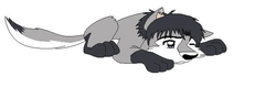 Kyle Puppy