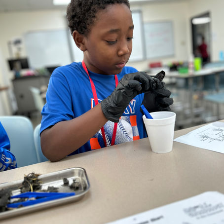 Student engaging in a hands-on STEM activity in the classroom, participating in an interactive learning experiences for developing real-world skills.