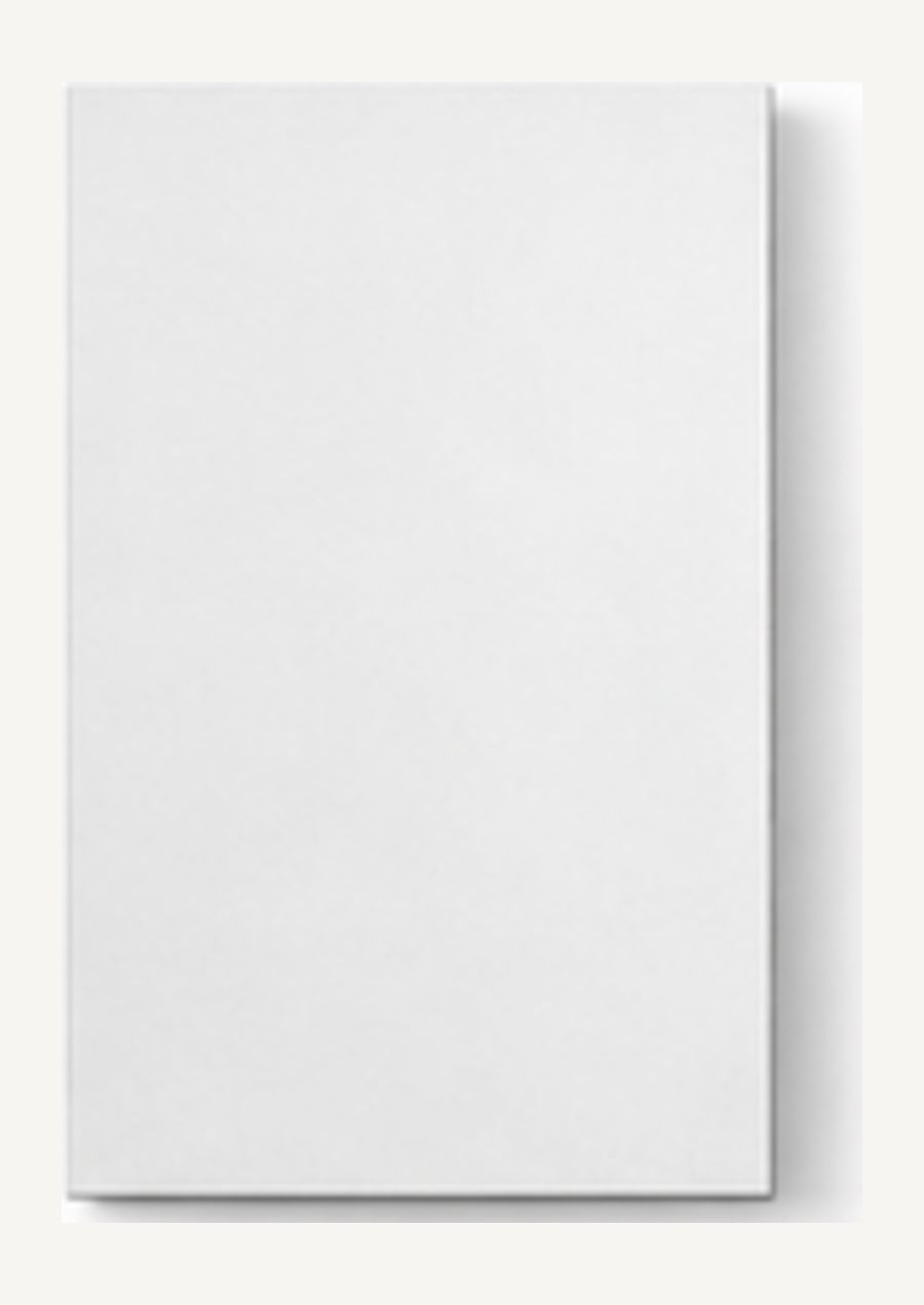 Pannello porta KORWIN Infinity Slab 02 bianco liscio.