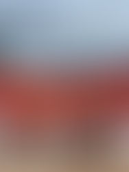 Phoenix Rise from Ashes, Rally Twice for Double Header Victory.